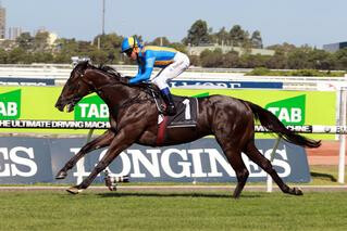 Music Magnate (NZ) Makes Stylish Return in G1 Expressway. Photo: Equine Images.